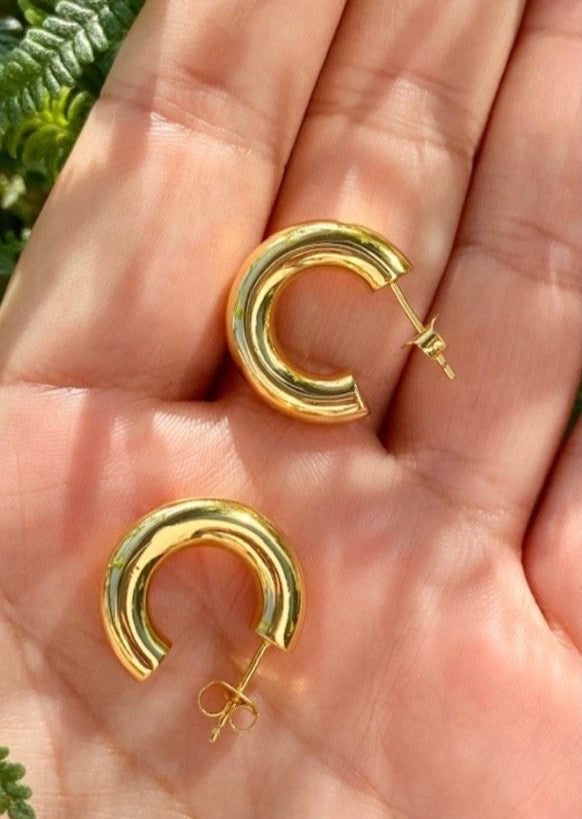 PENDIENTES FANIET