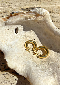 PENDIENTES FANIET